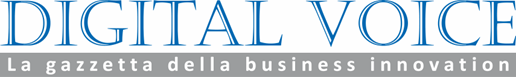 logo dv